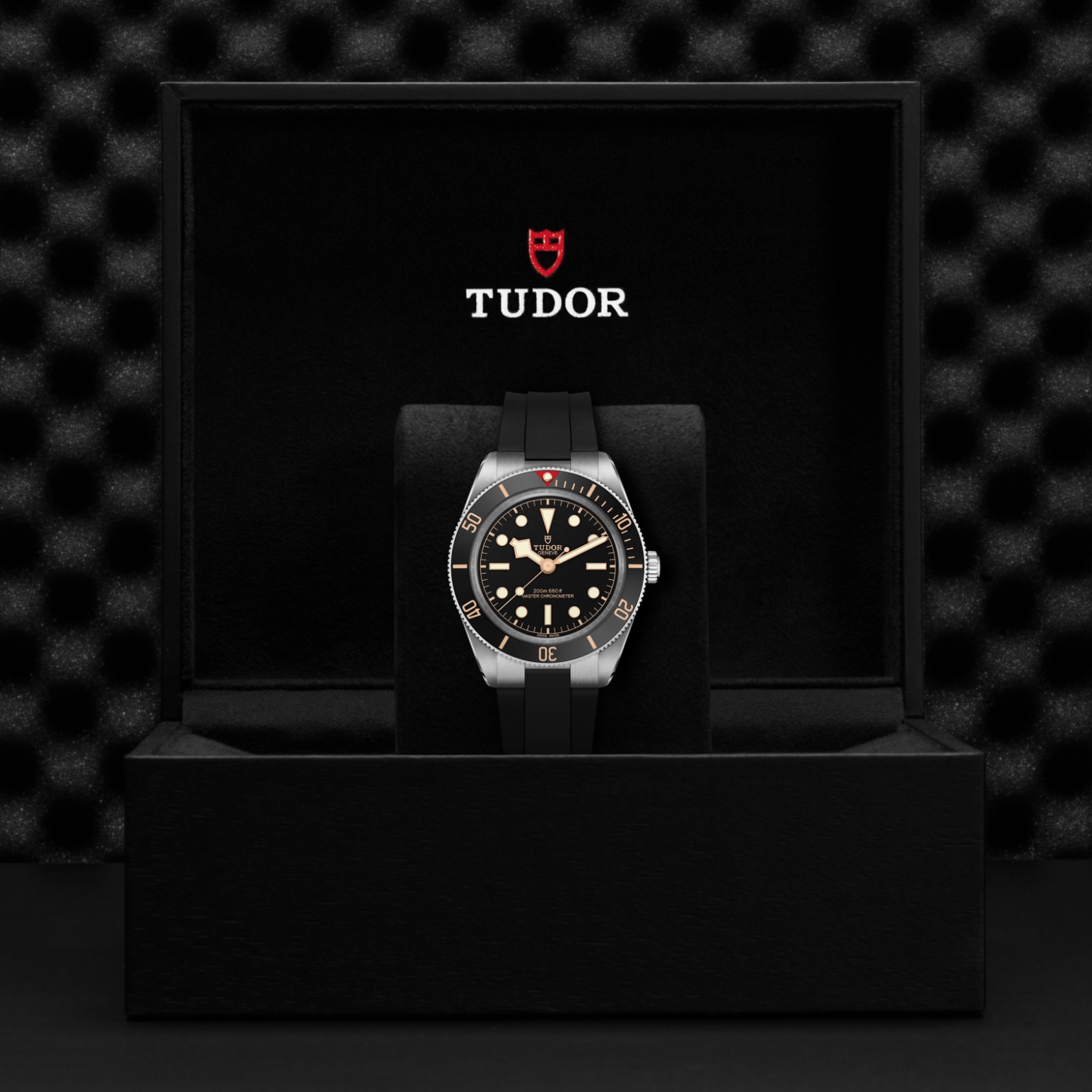 TUDOR Black Bay 58 Boîtier en acier 39 mm Bracelet en caoutchouc Cadran noir mat – Image 2